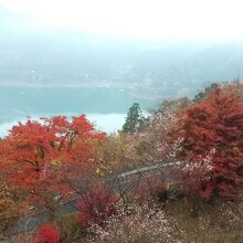 冬桜の宿 神泉