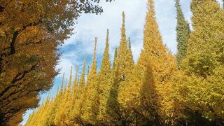 紅葉初期でも綺麗です