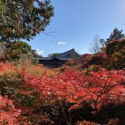 京都の紅葉の代表格