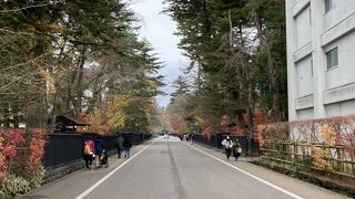 黒い塀が連なる情緒のあるストリート！桜の季節にまた来たい！