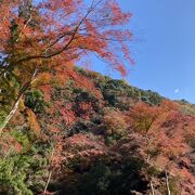 紅葉シーズン