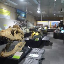 恐竜の展示室