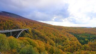 橋と自然のコントラストが綺麗！