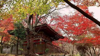 広大な敷地に建つ歴史あるお寺で行きつく道は２通りありました。