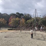 子供達と金亀公園へ