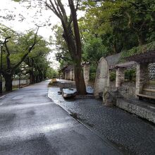 公園と隣接する”神田川桜並木遊歩道”