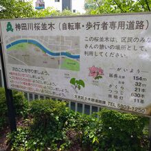 公園と隣接する”神田川桜並木遊歩道”