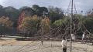 子供達と金亀公園へ