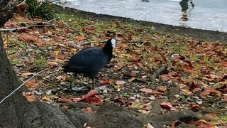 秋の雰囲気も良い