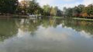 木々に囲まれた美しい公園