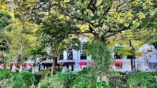 景色最高の湊町の公園