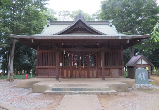 与野七福神巡り 与野七福神仮装パレード