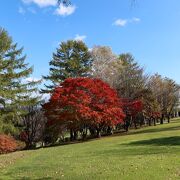 紅葉が綺麗な公園