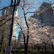 東京都庁の最高に美しい建築様式