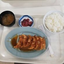 普通に美味しい宇都宮餃子