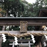一際真剣にお参り