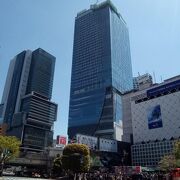 高層階の展望スペースは、無料で、渋谷・新宿周辺の絶景が見られて超おすすめ