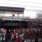 東横線がサクラと調和していて最高でした。