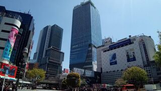 高層階の展望スペースは、無料で、渋谷・新宿周辺の絶景が見られて超おすすめ