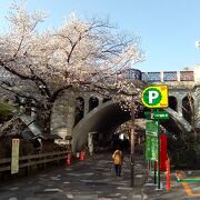 周辺のソメイヨシノの満開の景色は最高で、橋の白亜色と調和