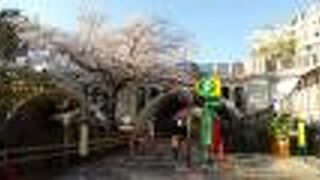 周辺のソメイヨシノの満開の景色は最高で、橋の白亜色と調和