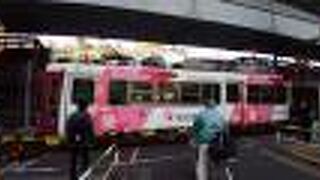 荒川線の桜色の車両と、背景のソメイヨシノの満開のコラボは最高