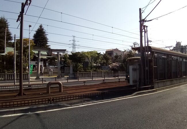 白い鳥居、きれいな建物が必見