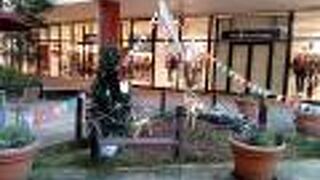 久しぶりに多くのお客様が