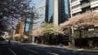 ソメイヨシノの満開の景色は最高