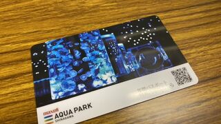 年パスでいつでも！