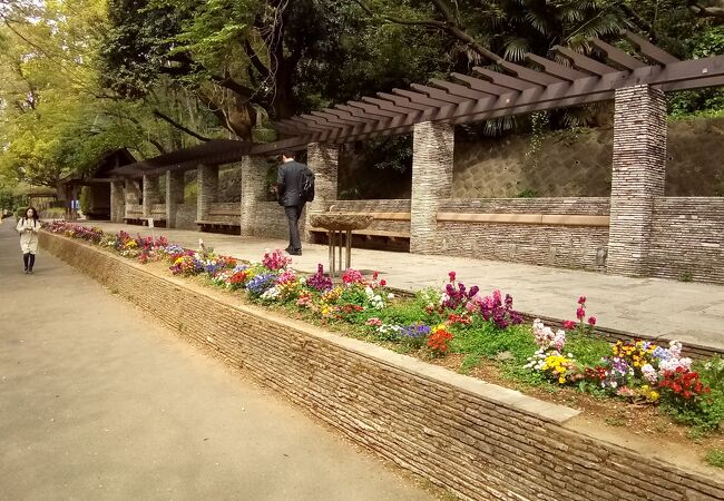 江戸川公園 クチコミ アクセス 営業時間 目白 フォートラベル