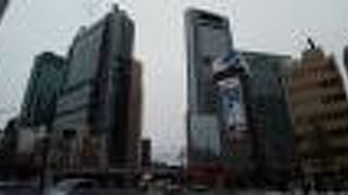 赤い鳥居がとても目立ちます