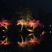 金沢城・兼六園ライトアップ 秋の段