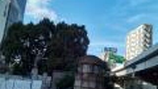 渋沢栄一銅像も