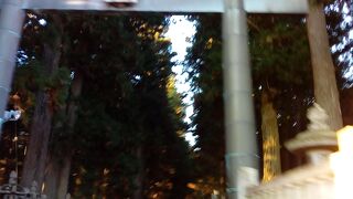 石灯籠が立ち並ぶ見事な参道