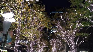 2021年で20 年目を迎える恒例イベント