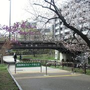 紅葉橋ですが、春の桜も綺麗です