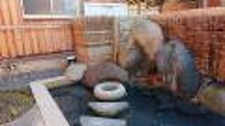 大室温泉「まきばの湯」