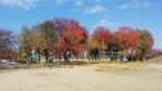 紅葉がちらほら