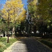 夏は水遊びが出来る公園