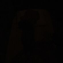 メイマッサージ