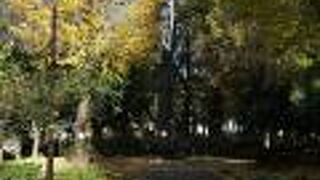 夏は水遊びが出来る公園