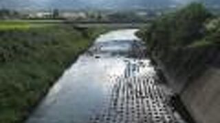 新しい阿蘇大橋のところで、白川と黒川が合流していました。