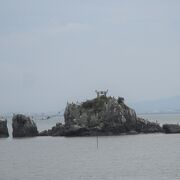 目の前に、たはれ島（風流島）があります。　