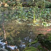 兼六園と一緒に行くのもおすすめです