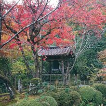 風流なお寺