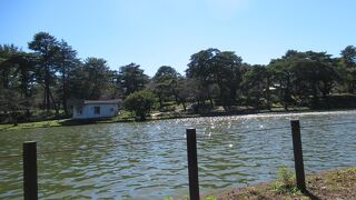 公園内にいろんな施設がある