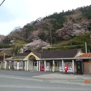 猫ちゃんの島、青島行きフェリーの最寄り駅