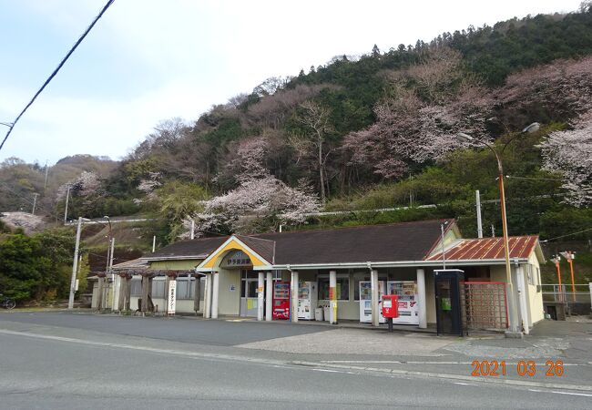 猫ちゃんの島、青島行きフェリーの最寄り駅