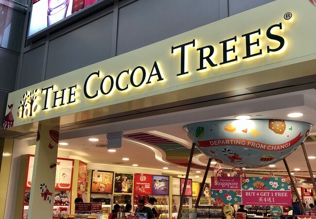 シンガポール チャンギ国際空港 Sin 周辺のお土産店 クチコミ人気ランキング フォートラベル シンガポール Singapore Changi International Airport